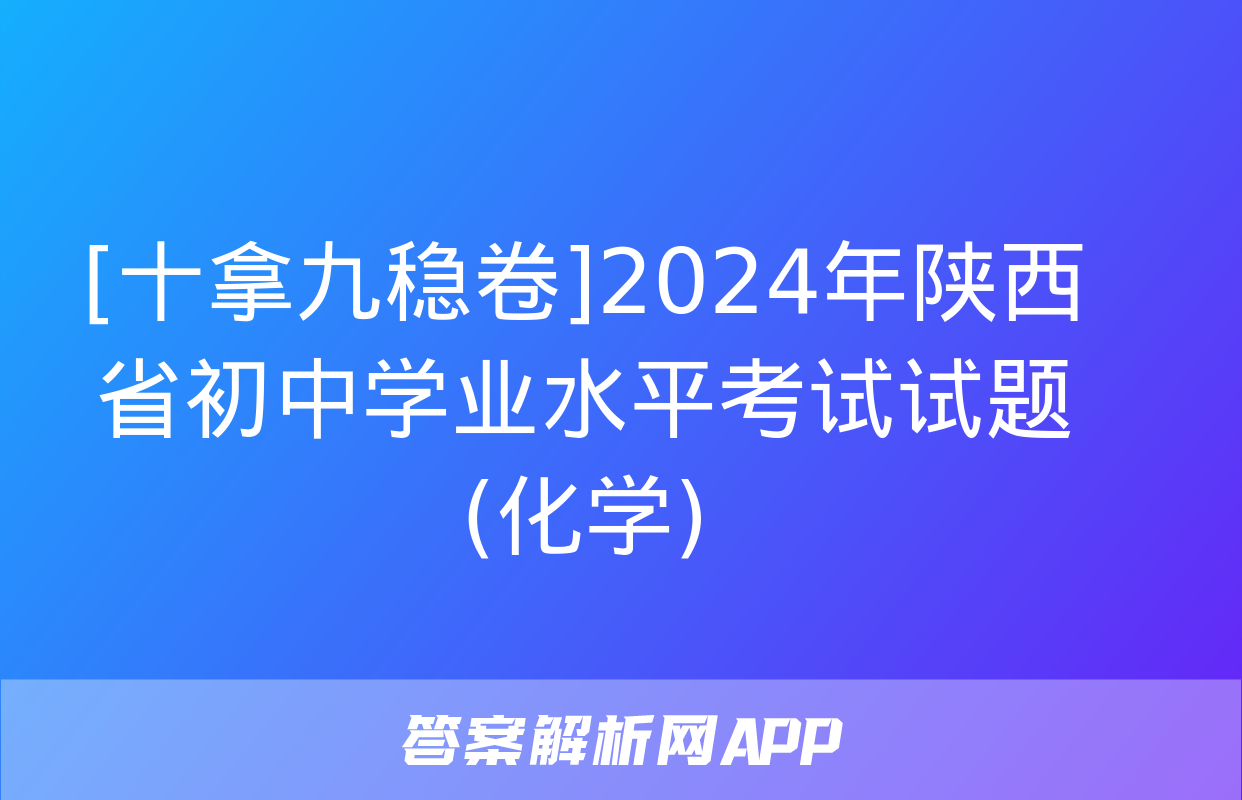 [十拿九稳卷]2024年陕西省初中学业水平考试试题(化学)