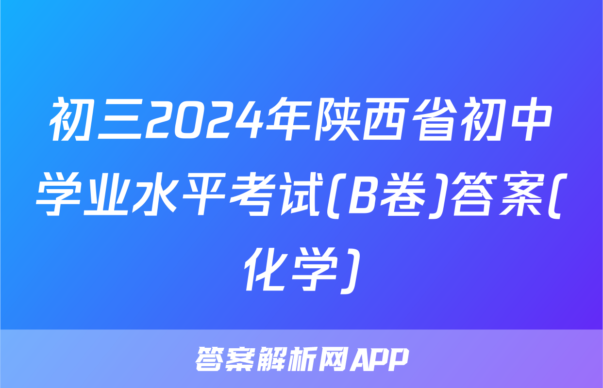 初三2024年陕西省初中学业水平考试(B卷)答案(化学)
