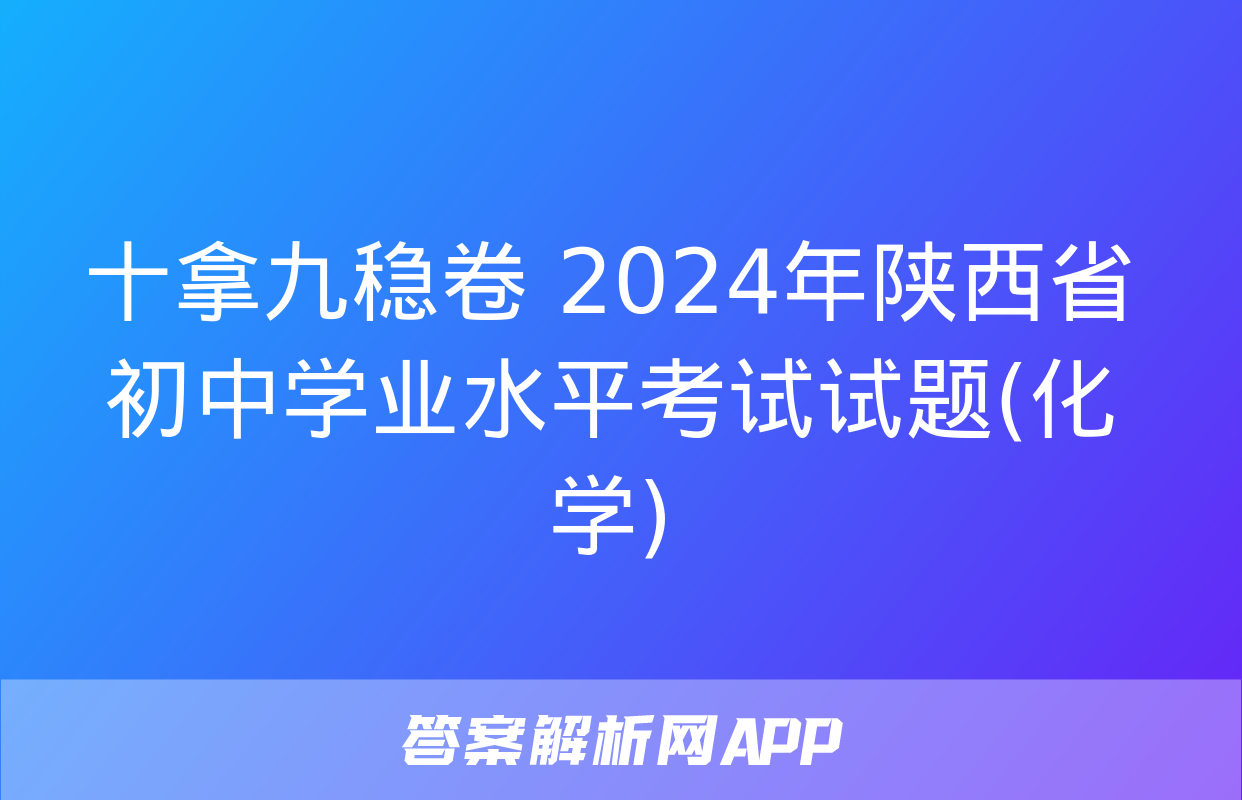 十拿九稳卷 2024年陕西省初中学业水平考试试题(化学)