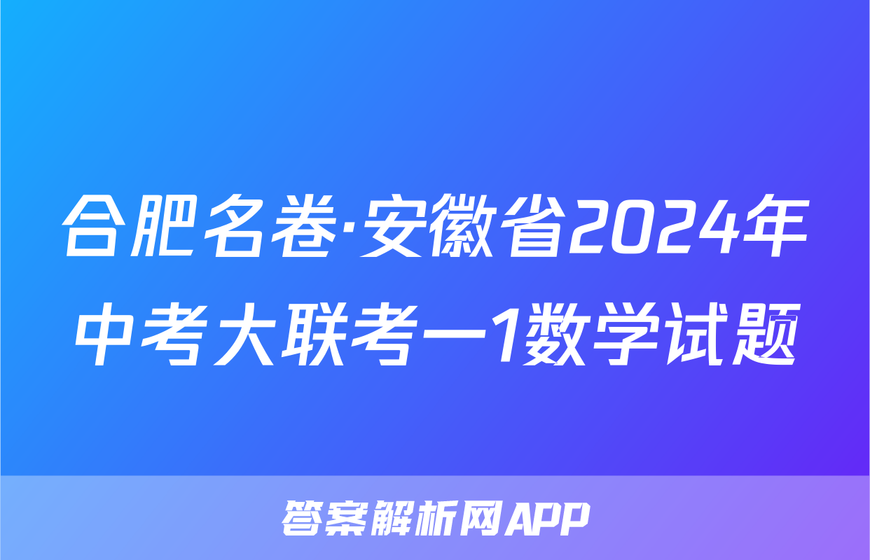 合肥名卷·安徽省2024年中考大联考一1数学试题