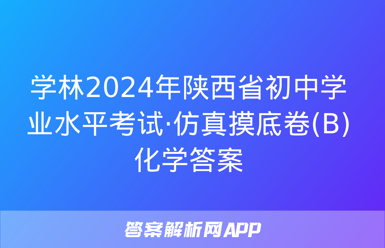 学林2024年陕西省初中学业水平考试·仿真摸底卷(B)化学答案