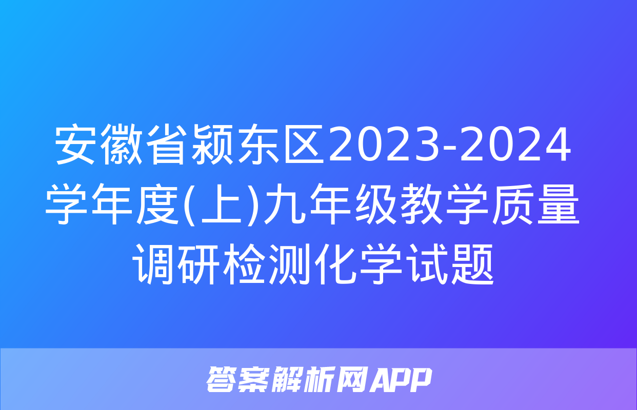 安徽省颍东区2023-2024学年度(上)九年级教学质量调研检测化学试题