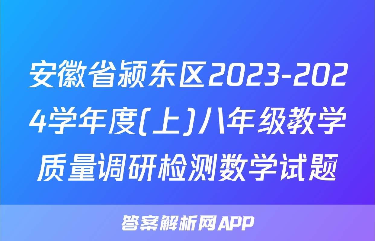 安徽省颍东区2023-2024学年度(上)八年级教学质量调研检测数学试题