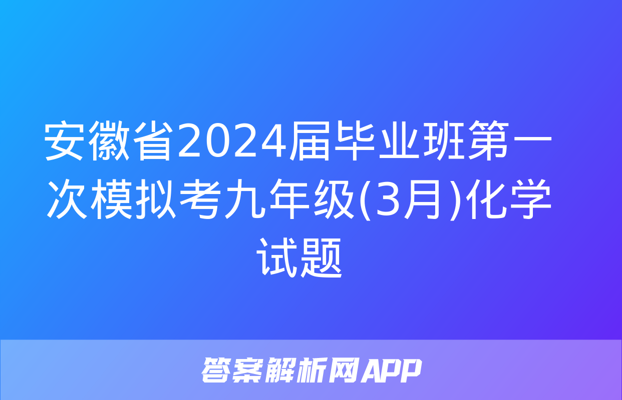 安徽省2024届毕业班第一次模拟考九年级(3月)化学试题