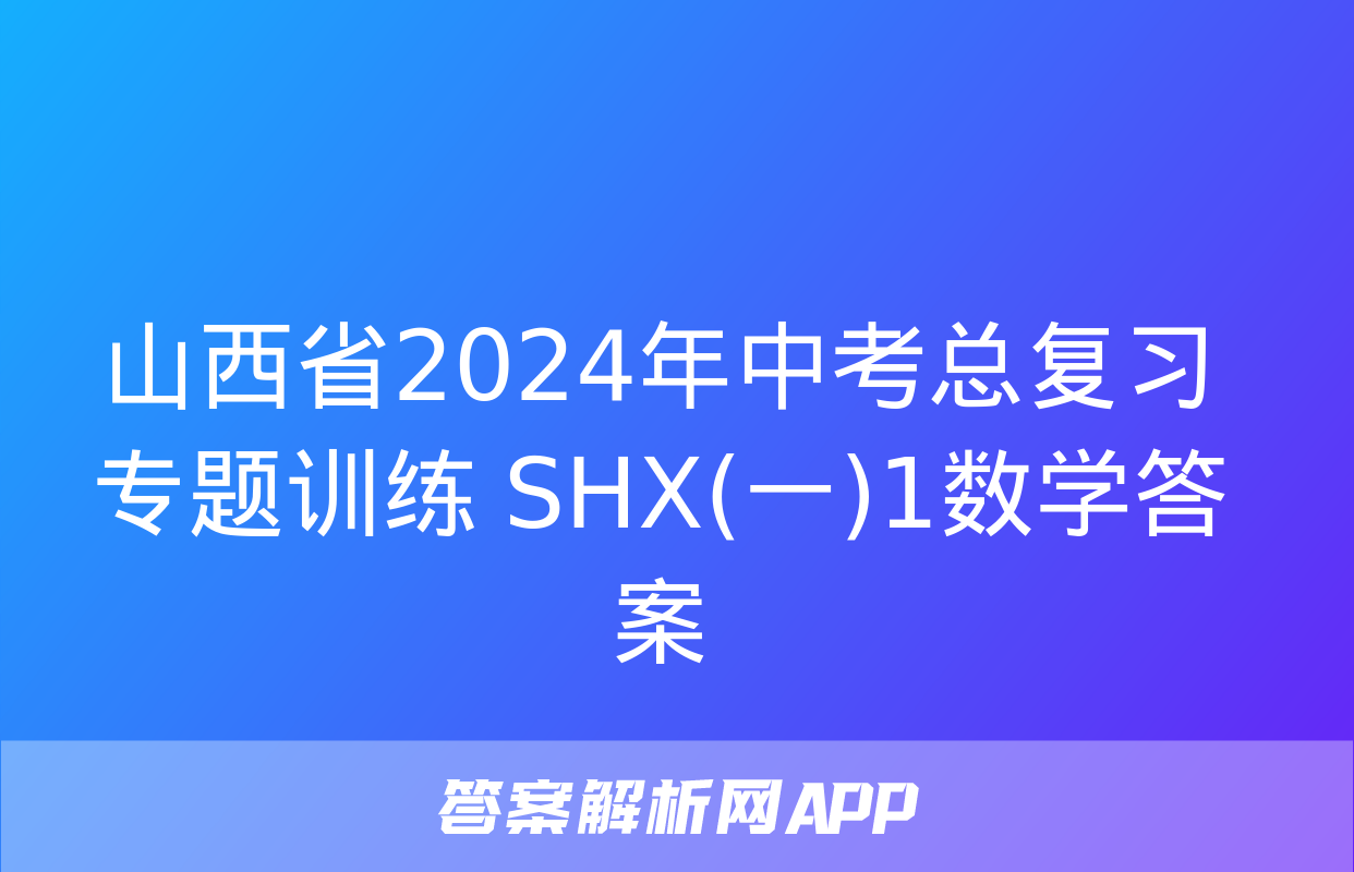 山西省2024年中考总复习专题训练 SHX(一)1数学答案