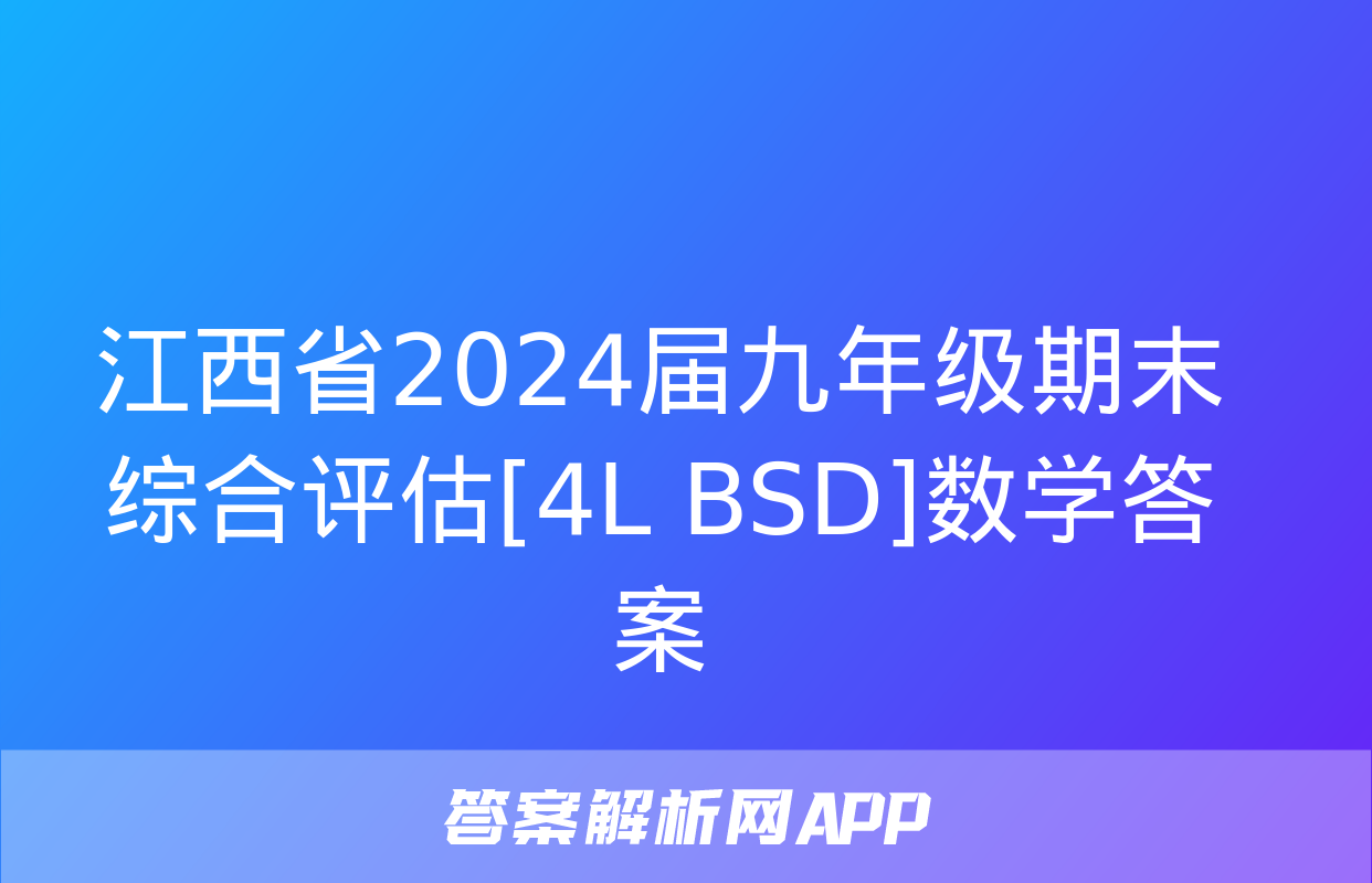 江西省2024届九年级期末综合评估[4L BSD]数学答案