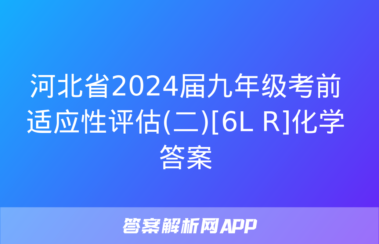 河北省2024届九年级考前适应性评估(二)[6L R]化学答案