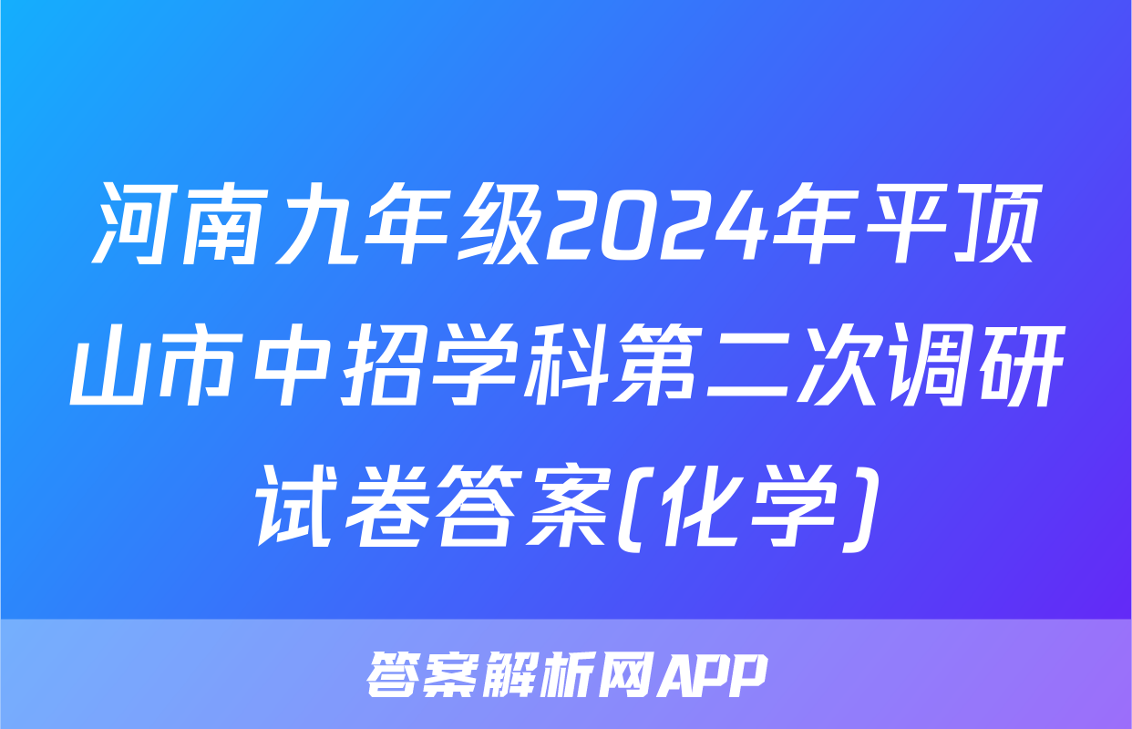 河南九年级2024年平顶山市中招学科第二次调研试卷答案(化学)