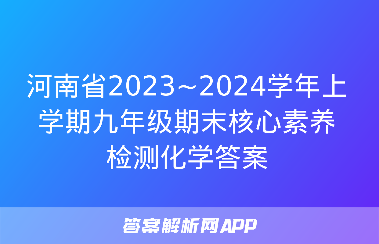 河南省2023~2024学年上学期九年级期末核心素养检测化学答案