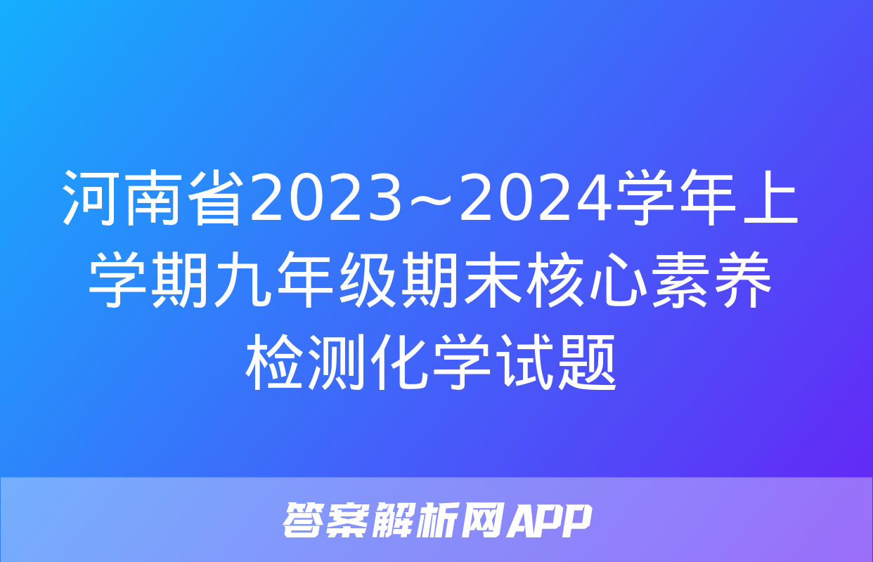 河南省2023~2024学年上学期九年级期末核心素养检测化学试题