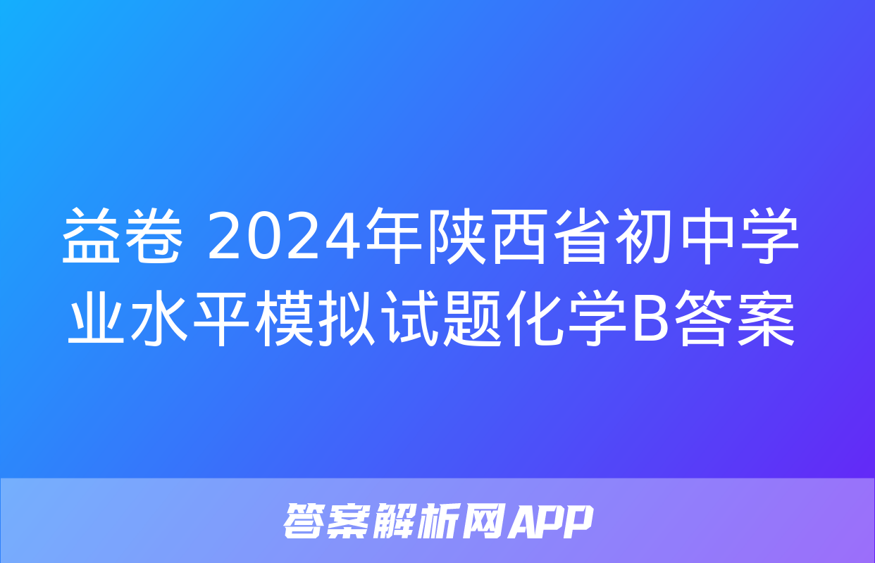 益卷 2024年陕西省初中学业水平模拟试题化学B答案