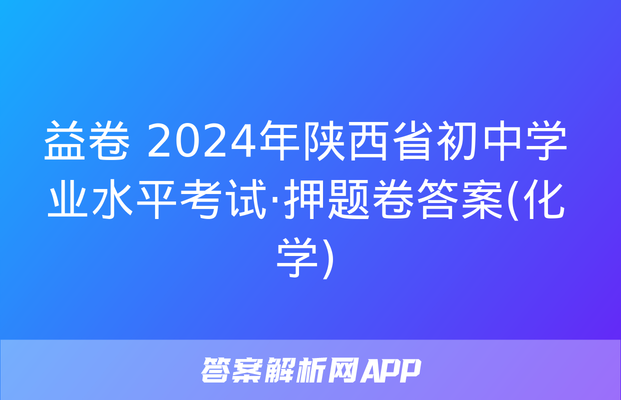 益卷 2024年陕西省初中学业水平考试·押题卷答案(化学)