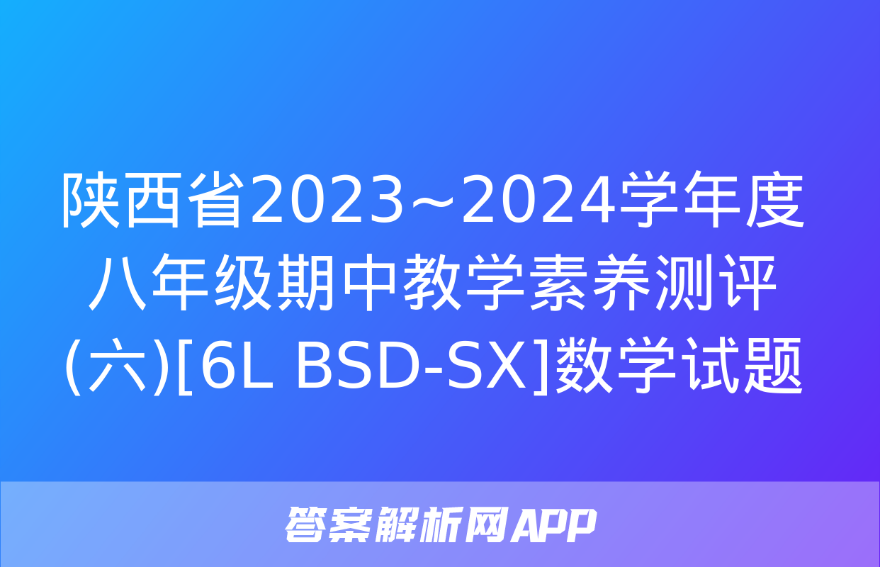 陕西省2023~2024学年度八年级期中教学素养测评(六)[6L BSD-SX]数学试题