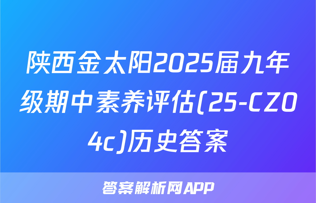 陕西金太阳2025届九年级期中素养评估(25-CZ04c)历史答案