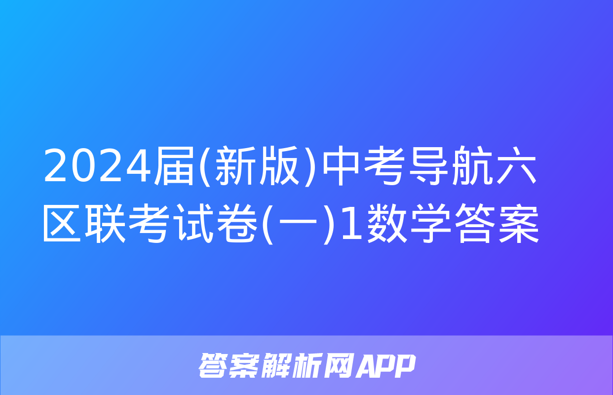 2024届(新版)中考导航六区联考试卷(一)1数学答案