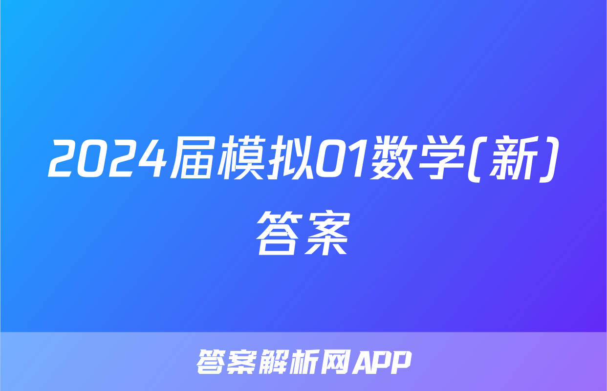 2024届模拟01数学(新)答案