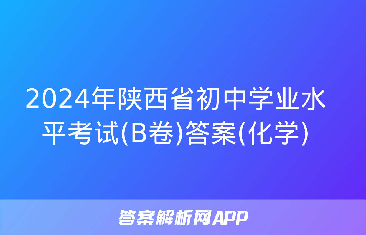 2024年陕西省初中学业水平考试(B卷)答案(化学)