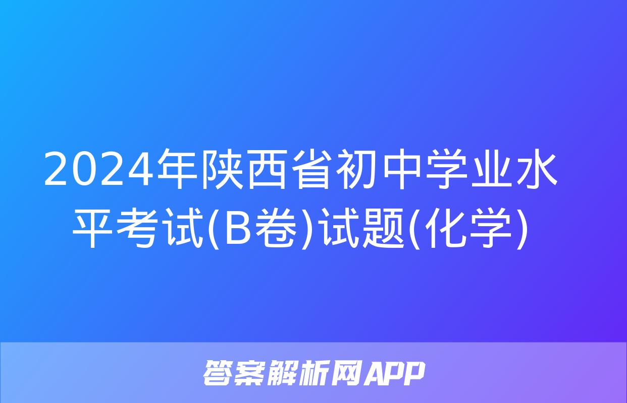 2024年陕西省初中学业水平考试(B卷)试题(化学)