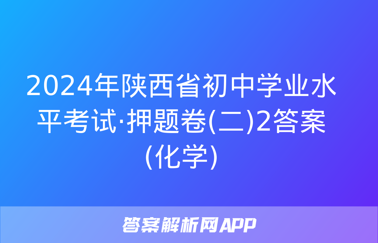 2024年陕西省初中学业水平考试·押题卷(二)2答案(化学)