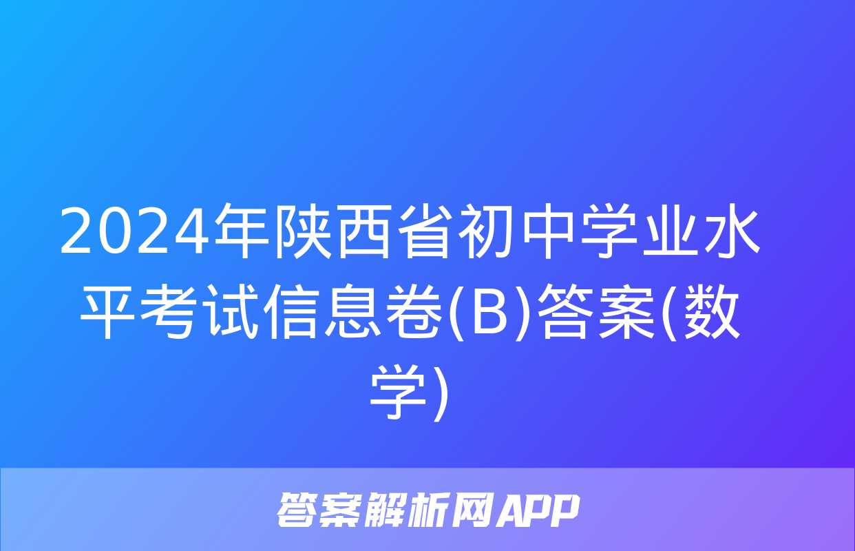 2024年陕西省初中学业水平考试信息卷(B)答案(数学)