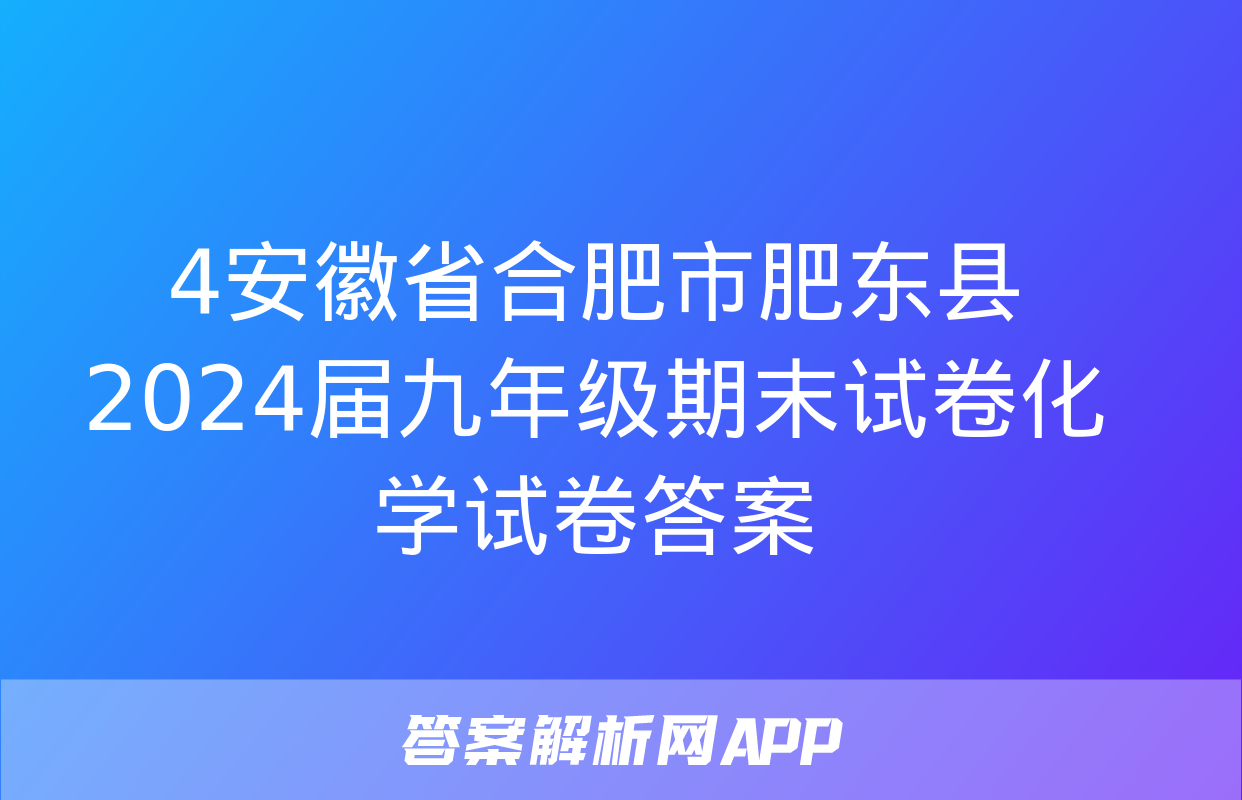 4安徽省合肥市肥东县2024届九年级期末试卷化学试卷答案